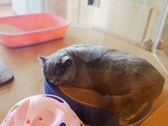 -Me Coffee下午茶艺术空间