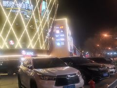 -鹏欣水游城