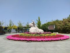 -永定河休闲森林公园