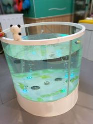 点击看大图 -鳄鱼泡泡游泳馆(新DNA购物中心店)