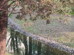 -森林公园(尖草坪区)