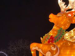-北京石景山游乐园