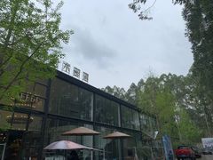-桉树林A coffee 森林餐厅(三圣乡店)