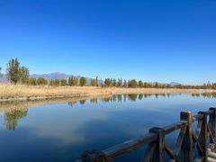 -野鸭湖国家湿地公园