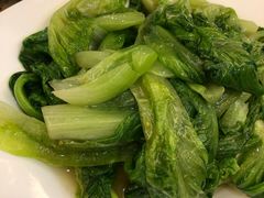 生菜-椿记烧鹅(叠彩店)