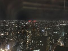 -东京都厅舍