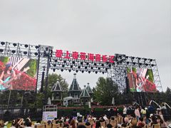 -荷兰花海
