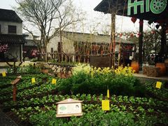 iphone_upload_pic-田园东方蜜桃村的田野营地