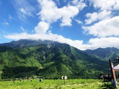 -硗碛藏寨·神木垒景区