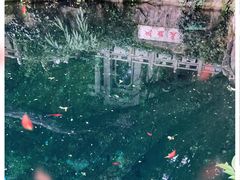 -蝴蝶泉公园