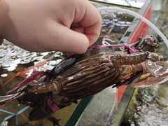 -NSK Trade City(Kuchai Lama)