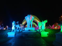-清迈夜间动物园
