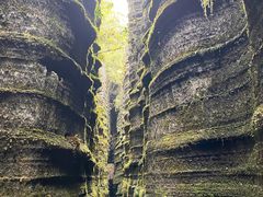 -梭布垭石林景区