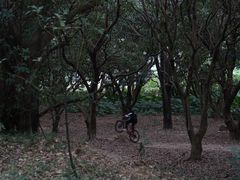 -燕晗山郊野公园