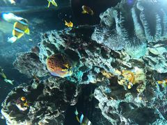 -华夏文旅海洋公园