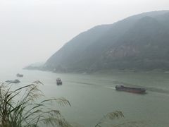 -羚羊峡古栈道森林公园