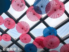 -花之城