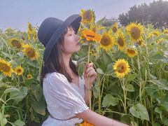 -西青郊野公园
