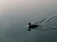 -前关湿地公园