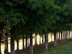 -滆湖低碳生态公园