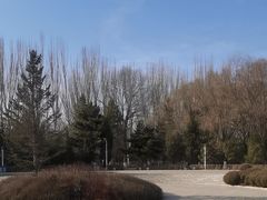 -青城公园