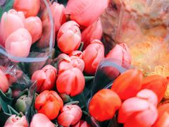 -循礼门鲜花花市(武汉循礼门店)