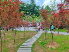 -广州市帽峰山景区