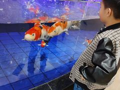 -鹏天阁酒楼·海鲜(红旗店)
