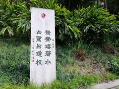 -重庆彩云湖湿地公园