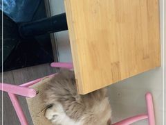-灯塔咖啡馆BOOK·Coffee Shop