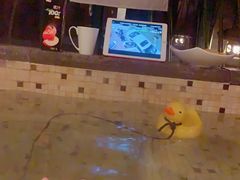 -春晖园度假酒店温泉