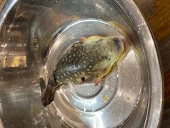 -名豪品鲜荟(云亭店)
