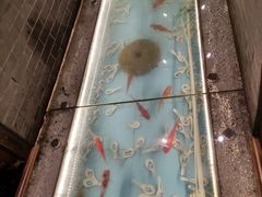 -芝麻花餐厅(祁家豁子店)