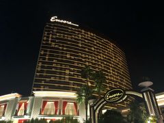 -拉斯维加斯永利酒店