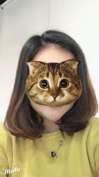 -镁连社·美联社