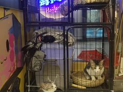 -谜盒子奇幻密室(南屏店)