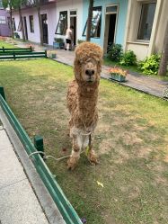 -爱儿美儿童摄影(五路居花园别墅店)