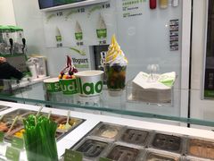 -Salud撒露欧洲冻酸奶(蓝色港湾店)