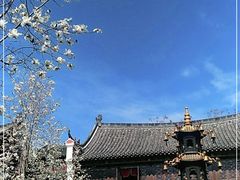 -长春观