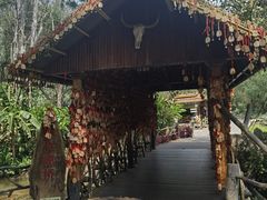 -莫里热带雨林景区