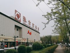 -张士灯具城(家居优选店)