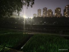 -龙头寺公园
