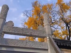 -苏州文庙(姑苏区)