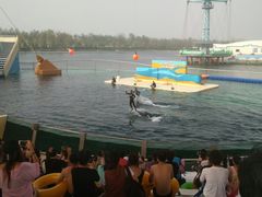 -秦皇岛乐岛海洋王国