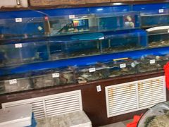 -张树军海鲜(王府壹号店)