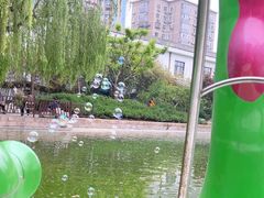 -团结湖公园