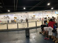 -世界之窗阿尔卑斯冰雪世界
