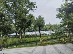 -月湖风景区