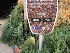 -上海海洋水族馆