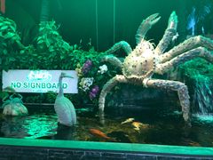 -無招牌海鮮(芽笼店)